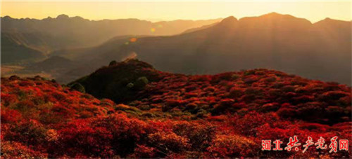 涉县“一旗领三红”系列报道之二：把对*党**的绝对忠诚和为民情怀写在太行山上