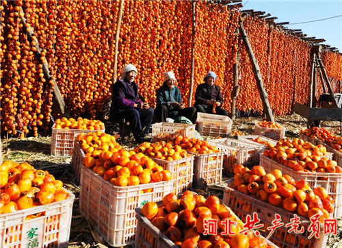 涉县“一旗领三红”系列报道之二：把对*党**的绝对忠诚和为民情怀写在太行山上