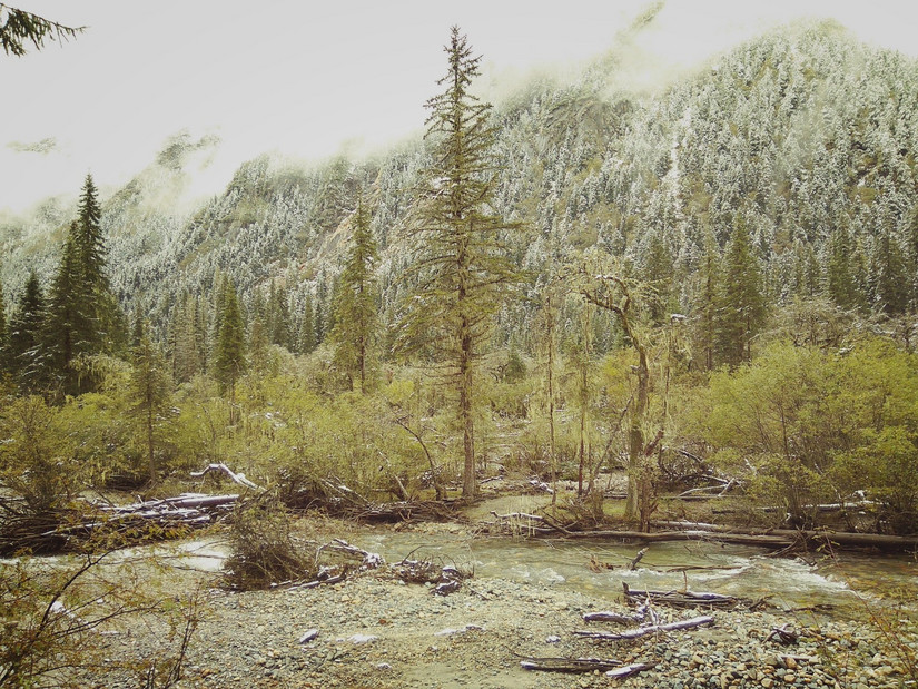 国庆流水账日记,中秋国庆流水账