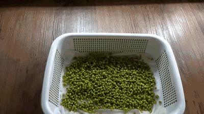 在家种菜,不用土不用肥,“一张纸”就搞定