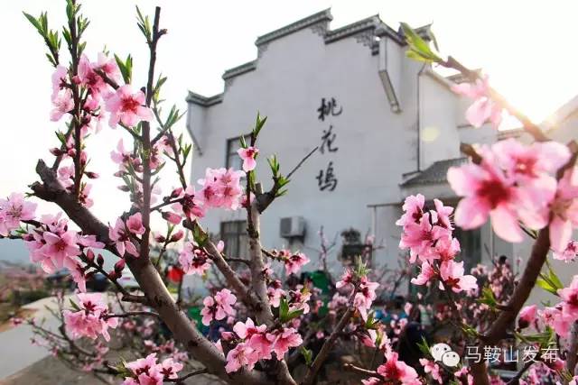 马鞍山改革开放变化,新时代马鞍山的变化