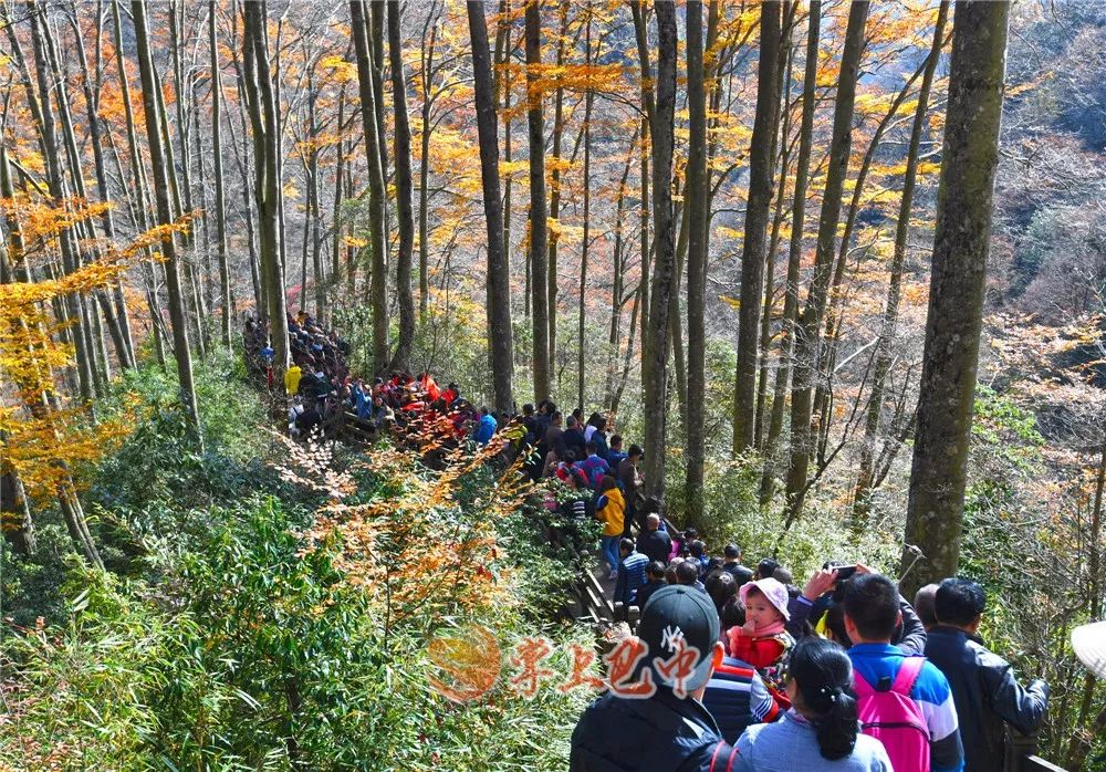 错过了红叶最佳观赏时间,光雾山红叶最佳观赏地方是哪里
