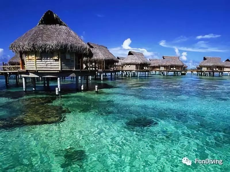 塔希提岛度假,最接近天堂的地方在哪