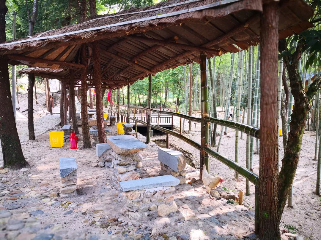 跟我走吧带你去旅行合拍,跟我走吧我带你去旅游完整版