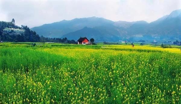 产业升级新旧动能转换,产业发展在转型升级中