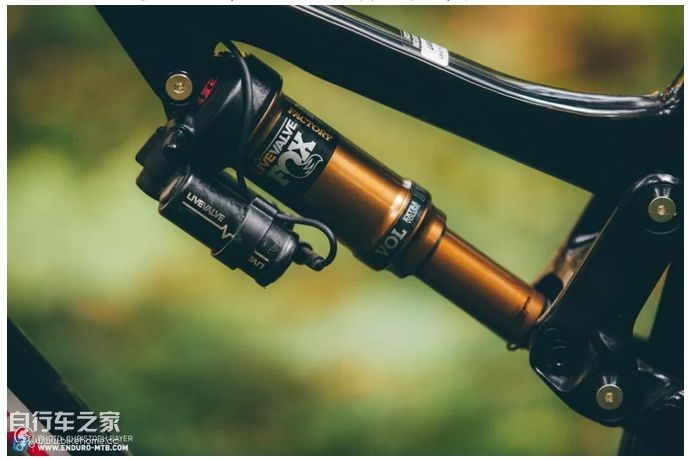 大神，2019山地车技术发展朝哪走？