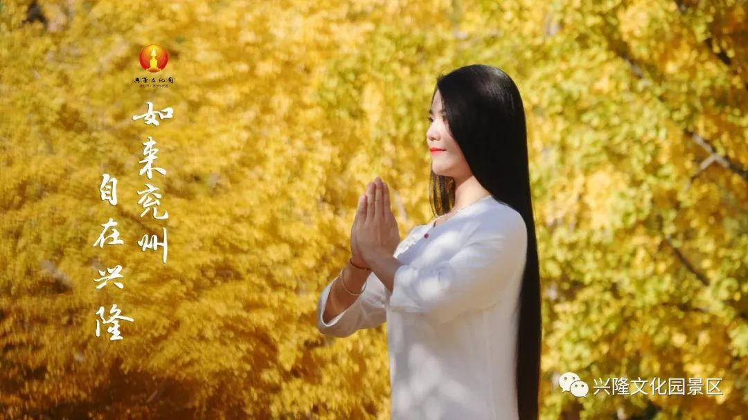 巴山夜雨电影1980,巴山夜雨1980老电影