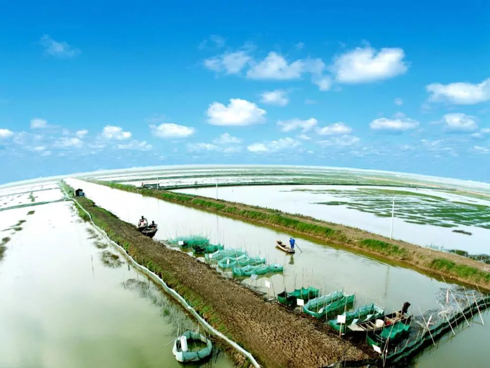 洪湖蟹最新消息,湖北日报中国龙虾第一县