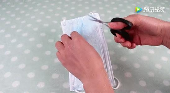 衣柜潮湿生虫子怎么处理,衣柜缝隙里有大虫子怎么办