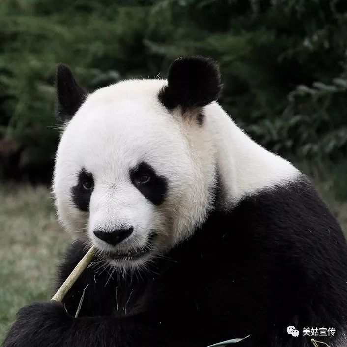 别样春晚演绎新型农村社区新生活,别样的村晚视频