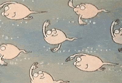 女性最好的避孕措施不伤身是哪种,女性必知的5个避孕误区