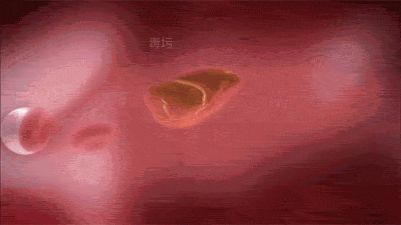 黑科技保暖塑身衣女款,显瘦保暖打底衣