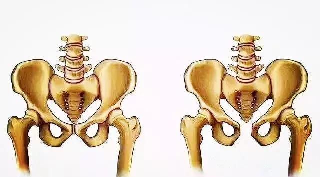 产后「绝望」的耻骨联合痛，妈妈秒懂