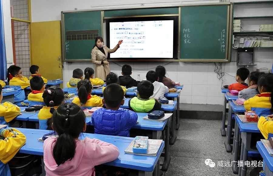 严陵镇中心校,严陵镇中心校及所属校园