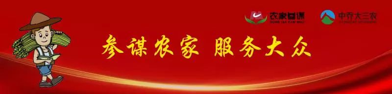 「参谋健康」“酸碱体质”*局骗**被揭穿这类“碱性产品”还在忽悠
