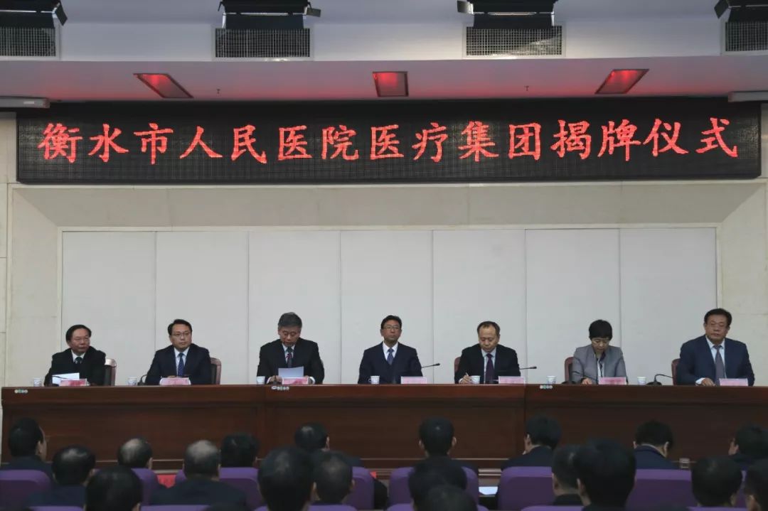 衡水城市紧密型医疗集团,衡水集团