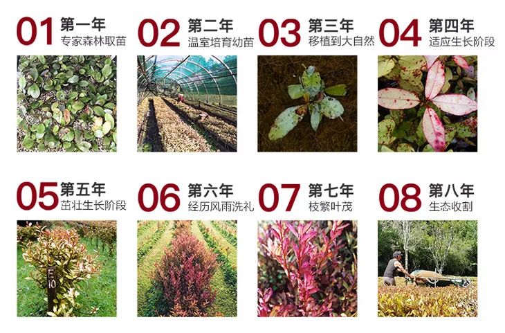 “男朋友的脚堪比生化*器武**!我得治治他!”