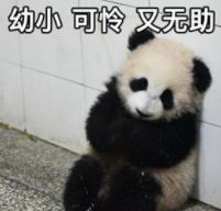 100块的维C成本才2块?对,剩下98块都是我们交的智商税!