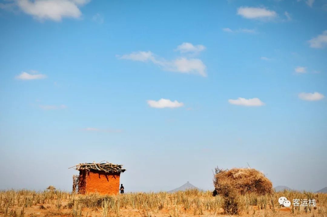 桑布鲁荒野里，我们的主要食物是奶和血｜会玩