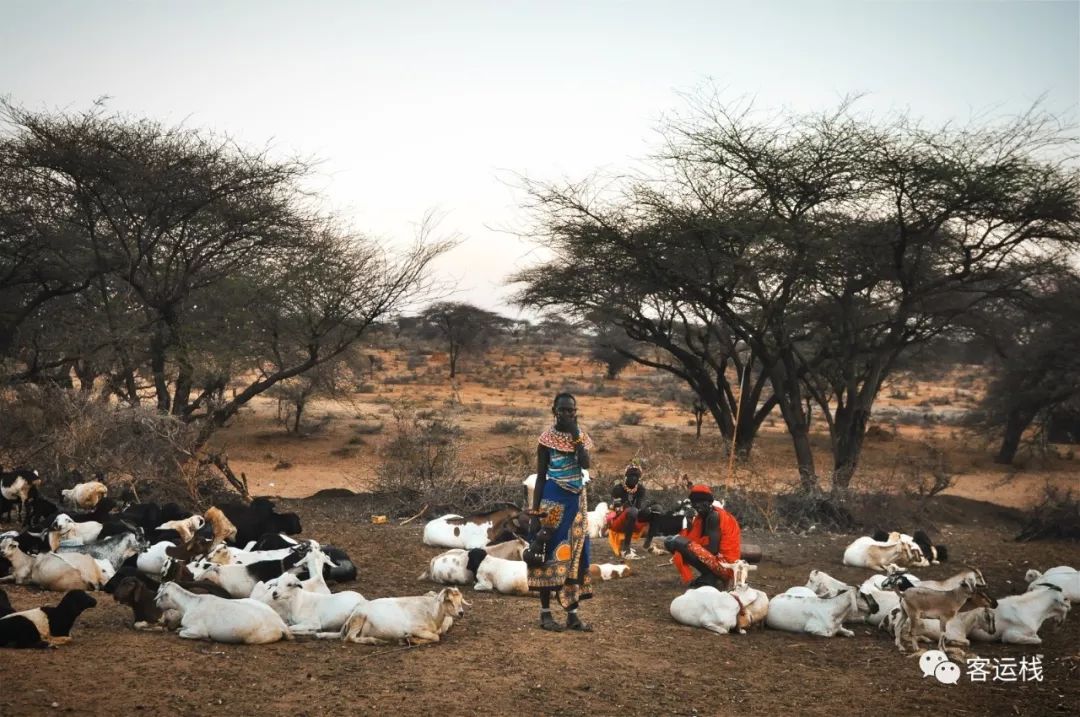 桑布鲁荒野里，我们的主要食物是奶和血｜会玩