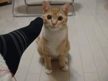 脚臭怎么办教你一招永远除臭,脚臭有什么办法除臭小妙招