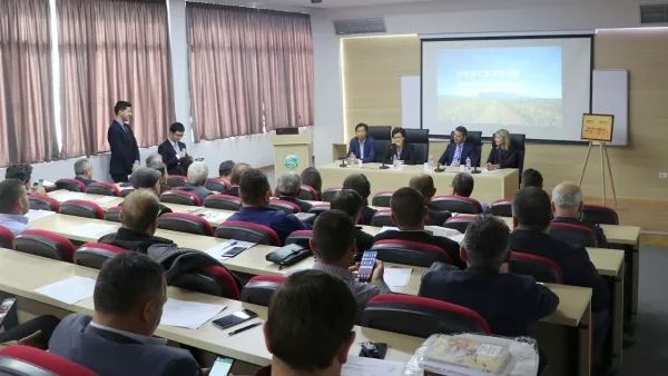 新闻纵横完整视频,新闻纵横回放