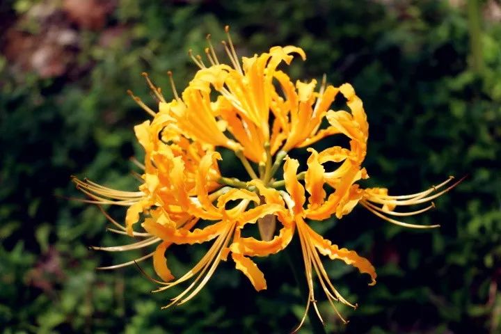 黔南3天旅游攻略,黔南荔波旅游攻略