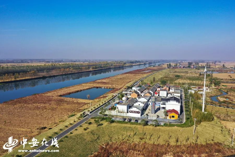 颍上庄台变身记：“穷洼地”逆袭成为“绿富美”