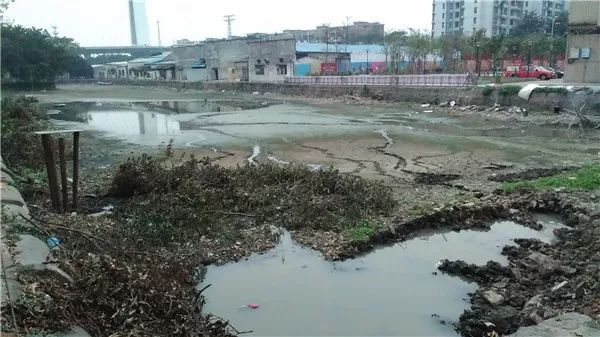 提醒！南海2019年度居民医保申报本周五截止！