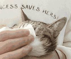 擦屁股姿势大全，看完就觉得干净了不少