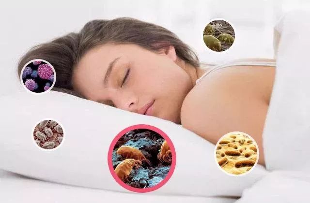 干发帽好用舒服不伤头发干得快,干头发最快的干发帽