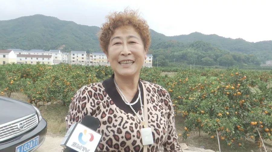 兴山峡口柑橘,茶山柑橘