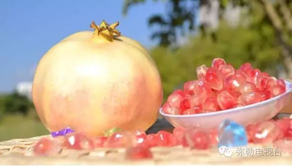 周边5天假期游玩攻略,放假15天的旅游攻略