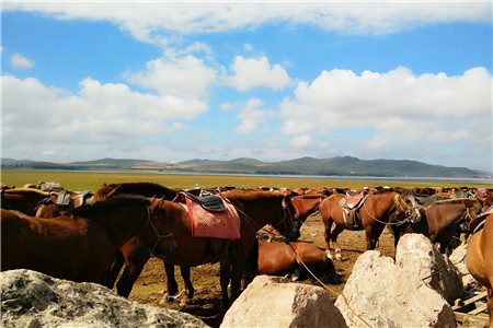 服务商企业号合规,服务商企业号