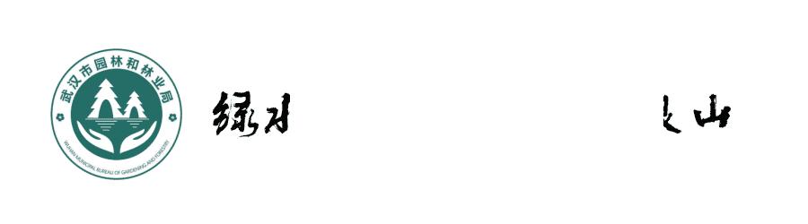 果汁阳台月季如何防治病虫害,藤本月季的病虫害及防治