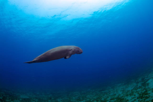 去了十几个海岛,性价比高海岛