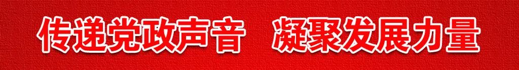 大名五得利面粉集团简历,大名县五得利面粉集团