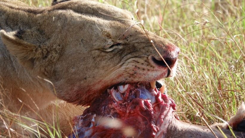 行囊装满的是人生,自己的行囊里装满了酸甜苦辣