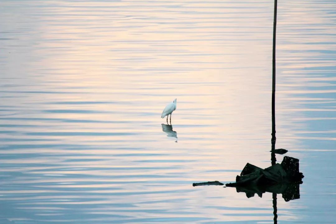 觊觎氤氲,觊觎氤氲圭臬80个生僻词语