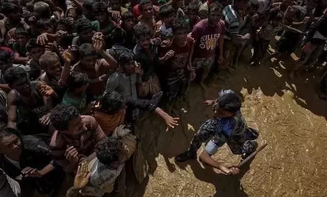 普利策奖饥饿的小孩,饥饿女孩