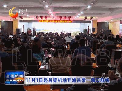 海口最近有新消息吗,海南海口最新官方消息