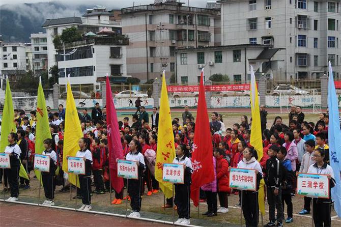 桂东小学足球比赛视频播放,桂平市第七届小学生足球联赛
