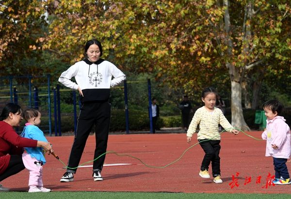 东湖水杉林武汉最美的秋色,航拍武汉风景