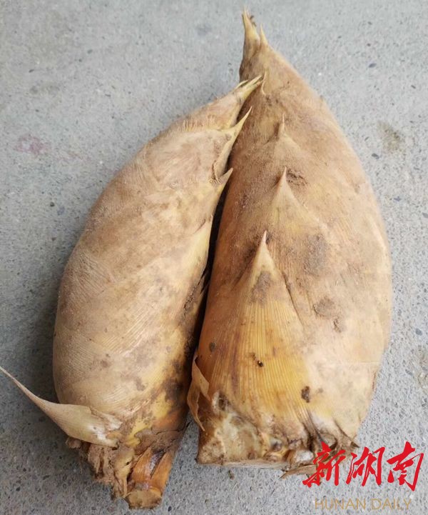 常宁电商卖货,常宁电商助农