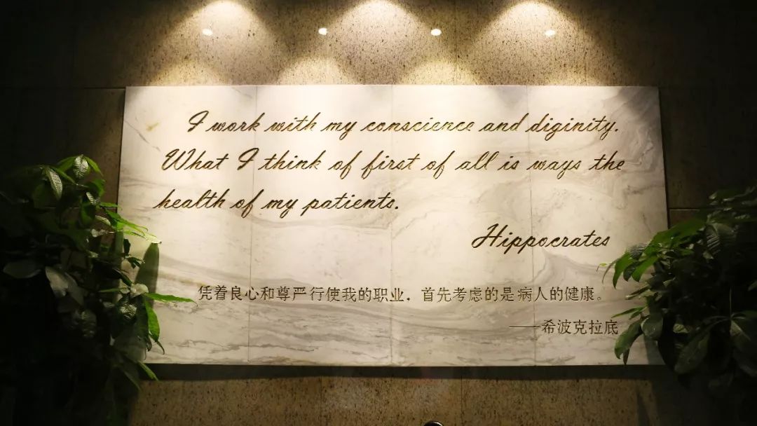 南京鼓楼医院中山路321号,南京市中山路321号