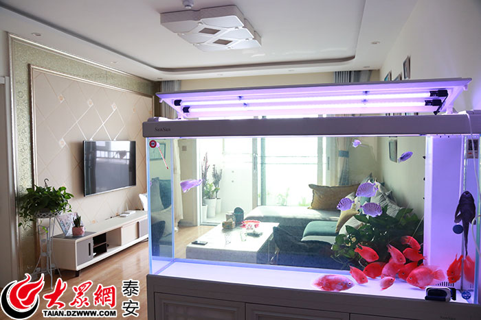 “村庄”变“社区”*安泰**堰北社区居民幸福生活笑开颜