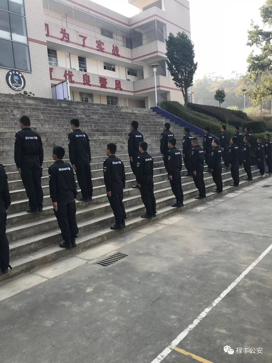 练为战砺尖兵现场直击,练为战原唱