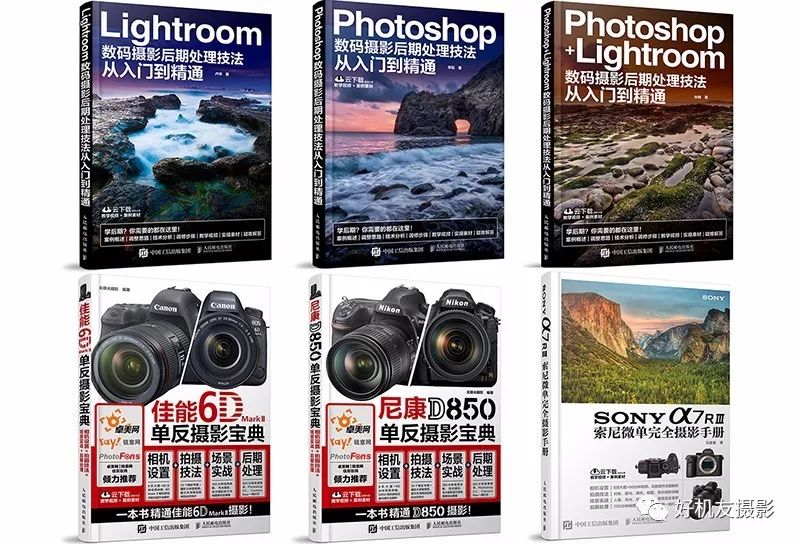 微距拍摄和自然微距有什么区别,微距镜头如何拍出好的微距照片