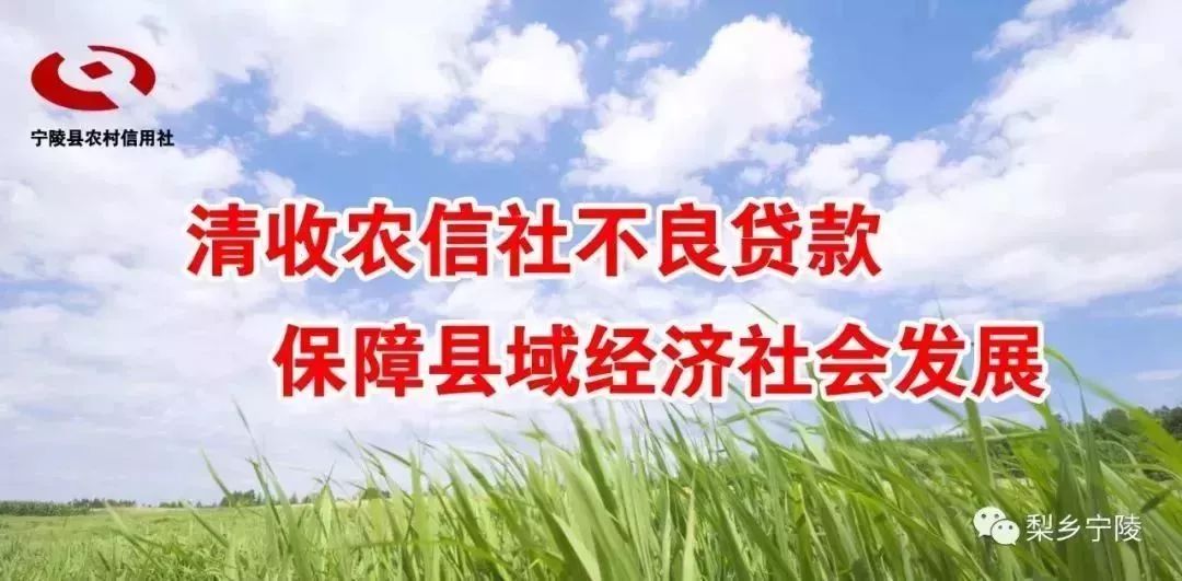 河南宁陵县张弓酒,河南宁陵县张弓陈年老窖