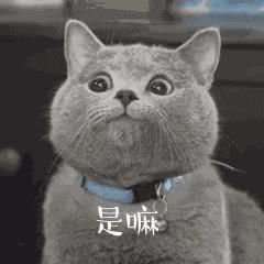 词语｜bitch居然还可以夸人？厉害了！